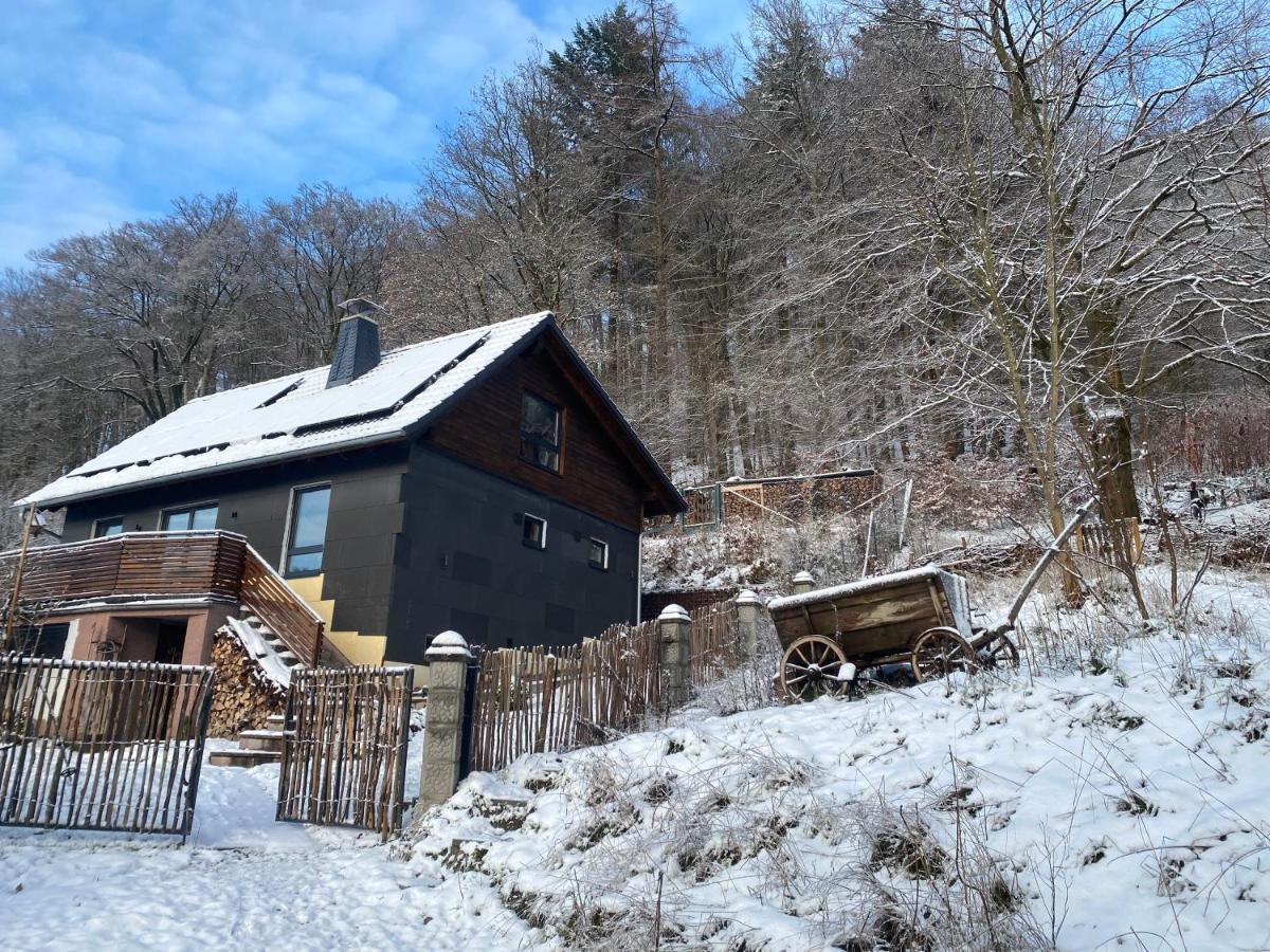 Chalet Huettenzauber Zella-Mehlis Exterior photo